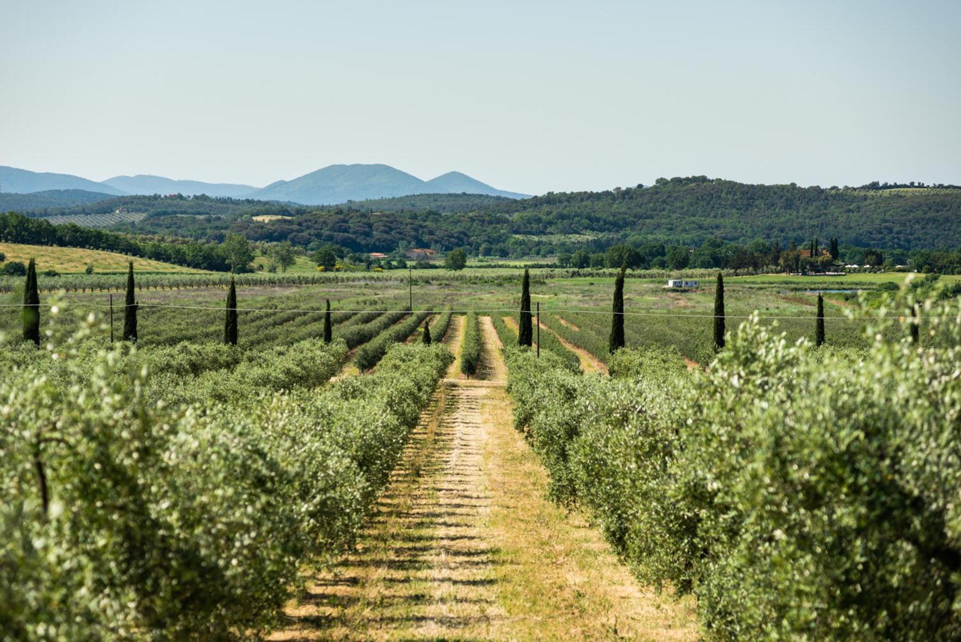 Tenuta Il Cicalino Масса-Мариттима Экстерьер фото