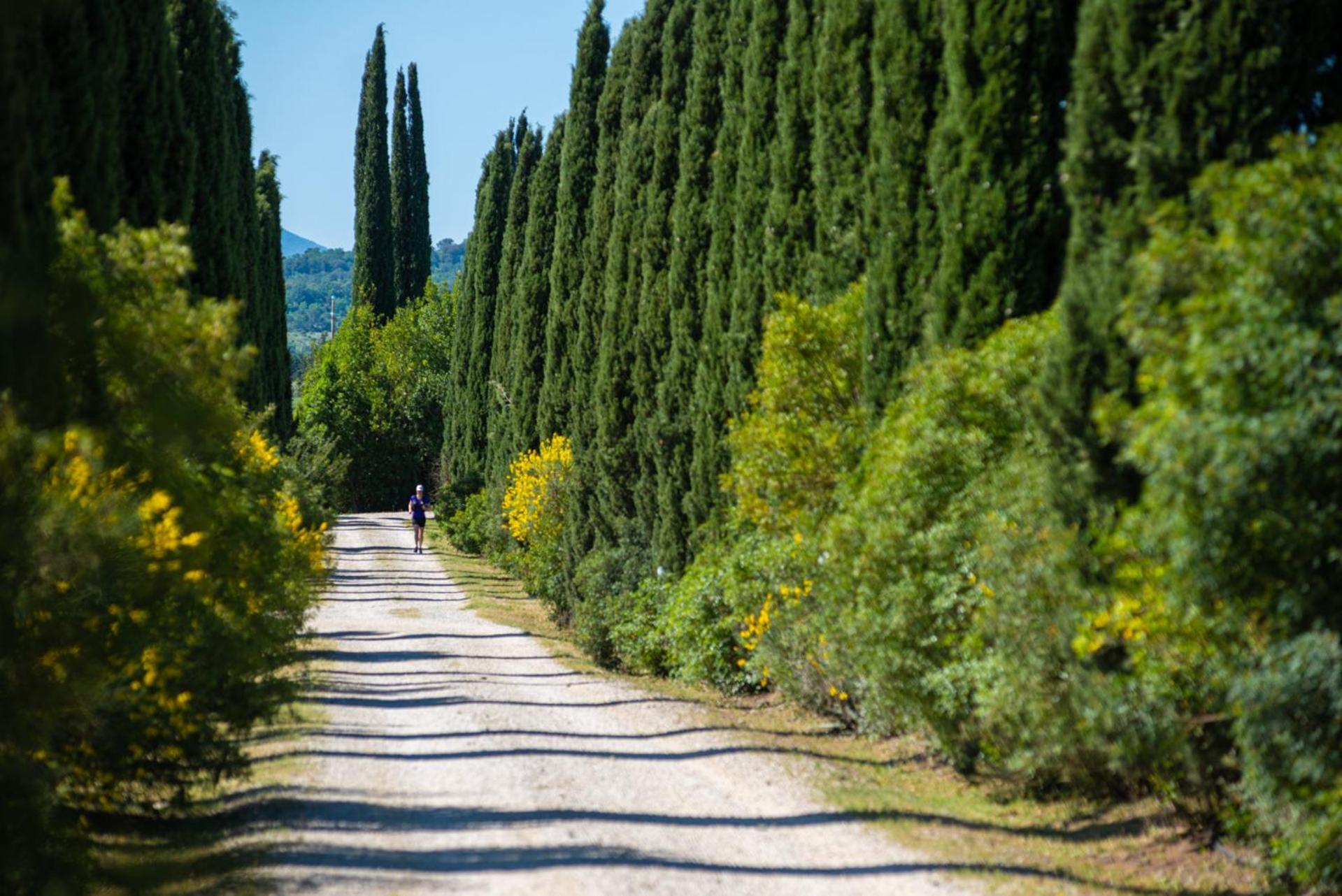 Tenuta Il Cicalino Масса-Мариттима Экстерьер фото
